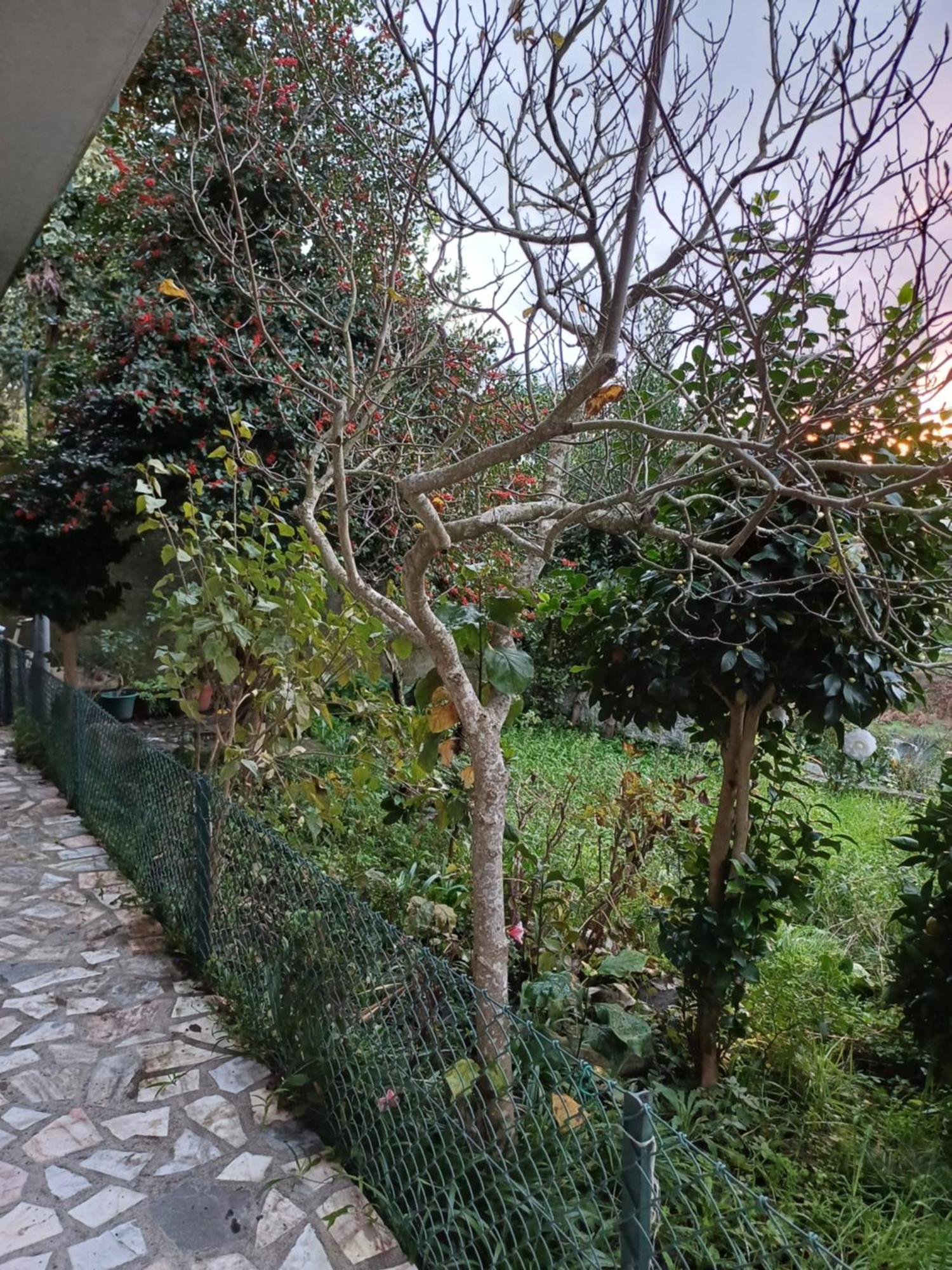 Amarante Residence Esterno foto